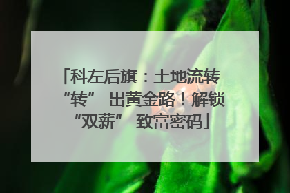 科左后旗：土地流转 “转” 出黄金路！解锁 “双薪” 致富密码
