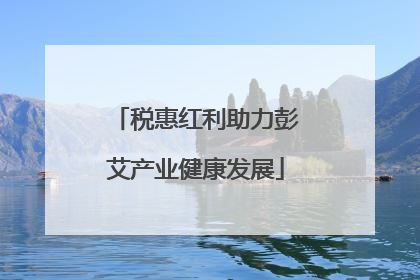 税惠红利助力彭艾产业健康发展