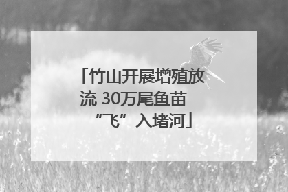竹山开展增殖放流 30万尾鱼苗“飞”入堵河