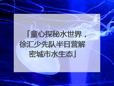 童心探秘水世界，徐汇少先队半日营解密城市水生态