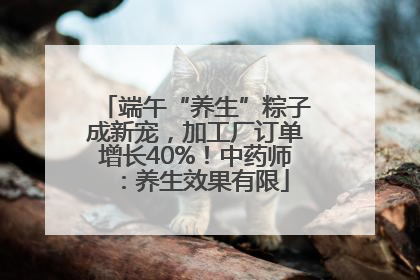 端午“养生”粽子成新宠，加工厂订单增长40%！中药师：养生效果有限