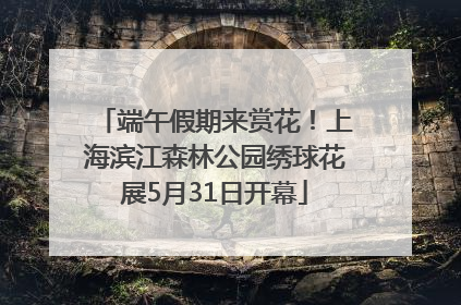 端午假期来赏花！上海滨江森林公园绣球花展5月31日开幕