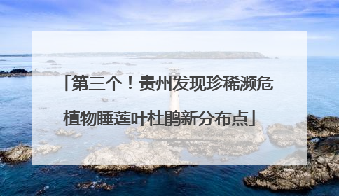 第三个！贵州发现珍稀濒危植物睡莲叶杜鹃新分布点