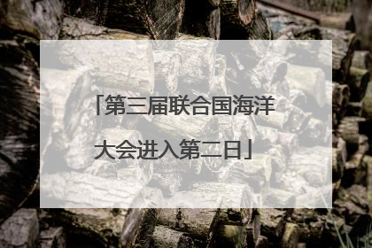 第三届联合国海洋大会进入第二日