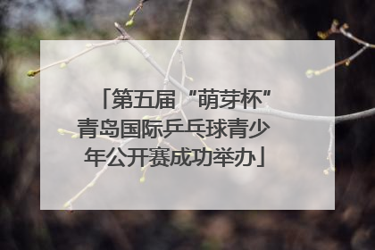 第五届“萌芽杯”青岛国际乒乓球青少年公开赛成功举办