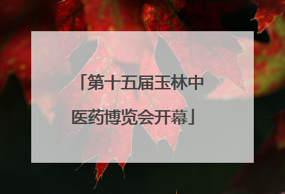 第十五届玉林中医药博览会开幕