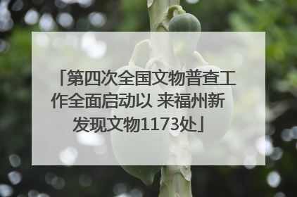 第四次全国文物普查工作全面启动以 来福州新发现文物1173处