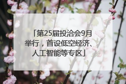 第25届投洽会9月举行，首设低空经济、人工智能等专区