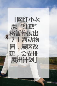 网红小老虎“红糖”将暂停展出？上海动物园：展区改建，会安排展出计划