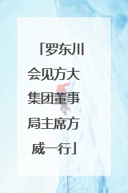 罗东川会见方大集团董事局主席方威一行