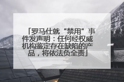罗马仕就“禁用”事件发声明：任何经权威机构鉴定存在缺陷的产品，将依法负全责