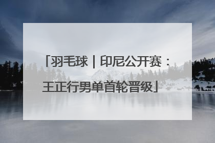 羽毛球｜印尼公开赛：王正行男单首轮晋级