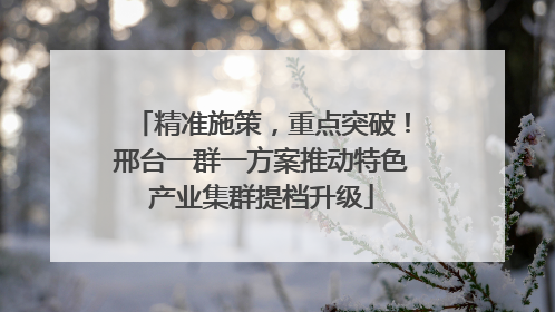精准施策，重点突破！邢台一群一方案推动特色产业集群提档升级