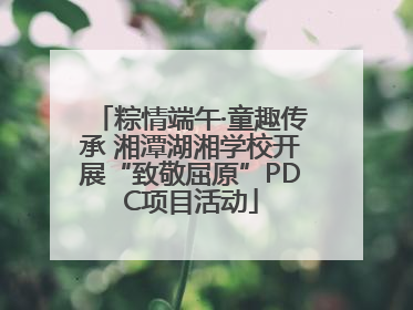 粽情端午·童趣传承 湘潭湖湘学校开展“致敬屈原”PDC项目活动