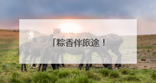 粽香伴旅途！青岛公交打造端午主题车厢