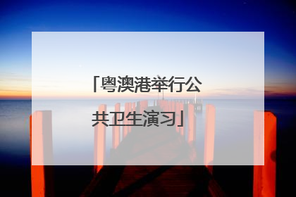 粤澳港举行公共卫生演习