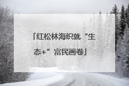 红松林海织就“生态+”富民画卷