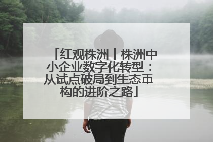 红观株洲丨株洲中小企业数字化转型：从试点破局到生态重构的进阶之路