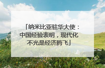 纳米比亚驻华大使：中国经验表明，现代化不光是经济腾飞