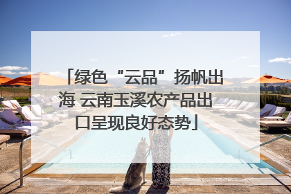 绿色“云品”扬帆出海 云南玉溪农产品出口呈现良好态势