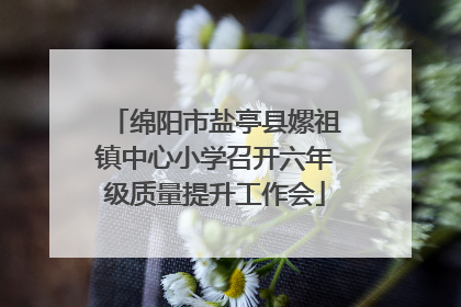 绵阳市盐亭县嫘祖镇中心小学召开六年级质量提升工作会