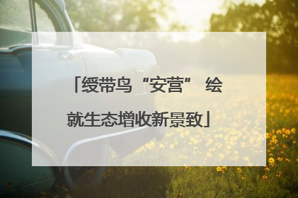 绶带鸟“安营” 绘就生态增收新景致