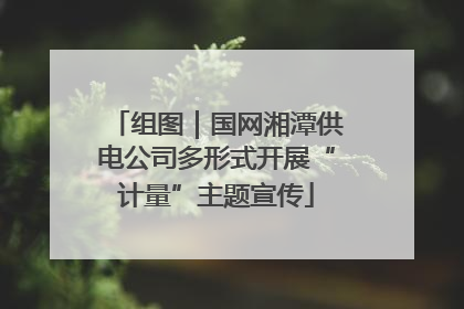组图｜国网湘潭供电公司多形式开展“计量”主题宣传