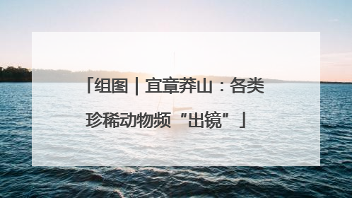 组图｜宜章莽山：各类珍稀动物频“出镜”