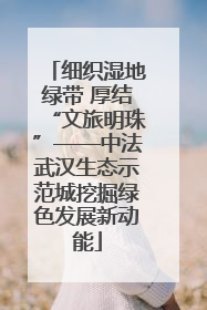 细织湿地绿带 厚结“文旅明珠”——中法武汉生态示范城挖掘绿色发展新动能