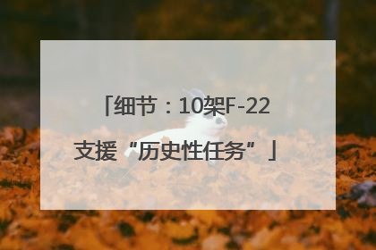 细节：10架F-22支援“历史性任务”
