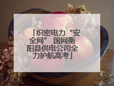 织密电力“安全网” 国网衡阳县供电公司全力护航高考