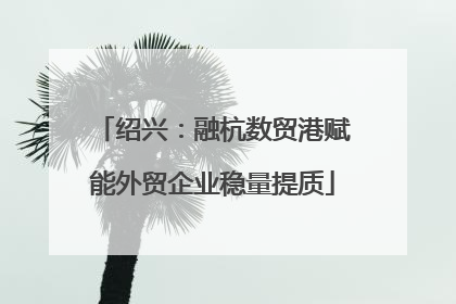 绍兴：融杭数贸港赋能外贸企业稳量提质