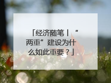 经济随笔丨“两重”建设为什么如此重要？