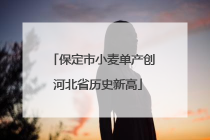 保定市小麦单产创河北省历史新高