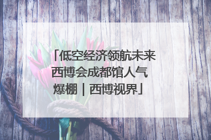 低空经济领航未来 西博会成都馆人气爆棚｜西博视界