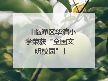 临潼区华清小学荣获“全国文明校园”
