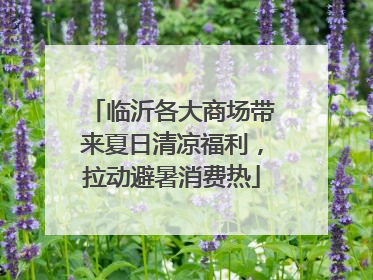 临沂各大商场带来夏日清凉福利，拉动避暑消费热