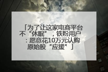 为了让这家电商平台不“休眠”，铁粉用户：愿意花10万元认购原始股“应援”