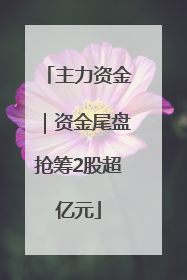 主力资金｜资金尾盘抢筹2股超亿元