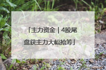 主力资金｜4股尾盘获主力大幅抢筹