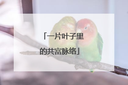 一片叶子里的共富脉络