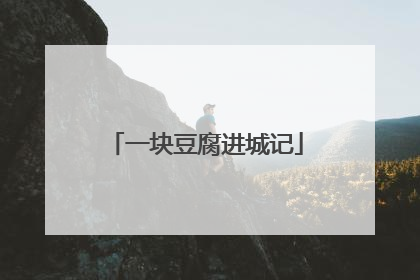 一块豆腐进城记