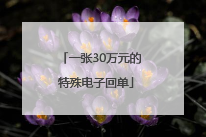 一张30万元的特殊电子回单