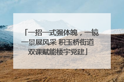 一招一式强体魄，一镜一景展风采 积玉桥街道双课赋能楼宇党建
