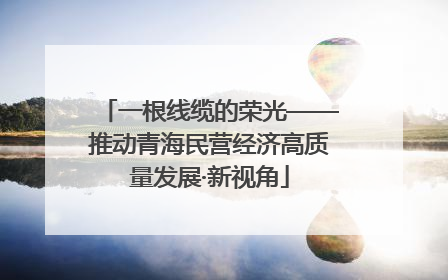 一根线缆的荣光——推动青海民营经济高质量发展·新视角