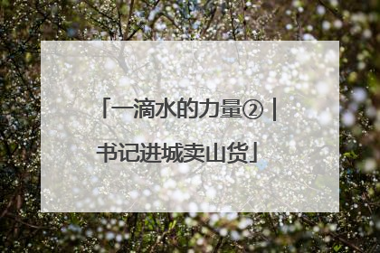 一滴水的力量②｜书记进城卖山货