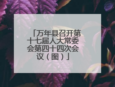 万年县召开第十七届人大常委会第四十四次会议（图）