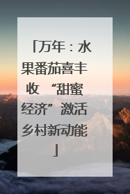 万年：水果番茄喜丰收 “甜蜜经济”激活乡村新动能