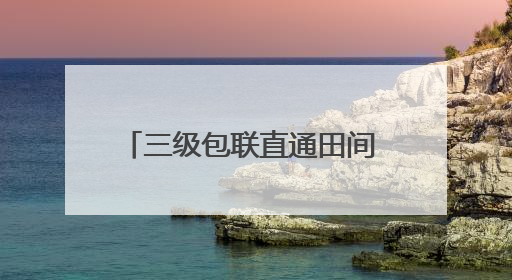 三级包联直通田间 科技赋能乡村振兴
