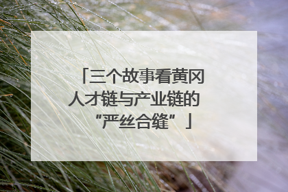 三个故事看黄冈人才链与产业链的“严丝合缝”